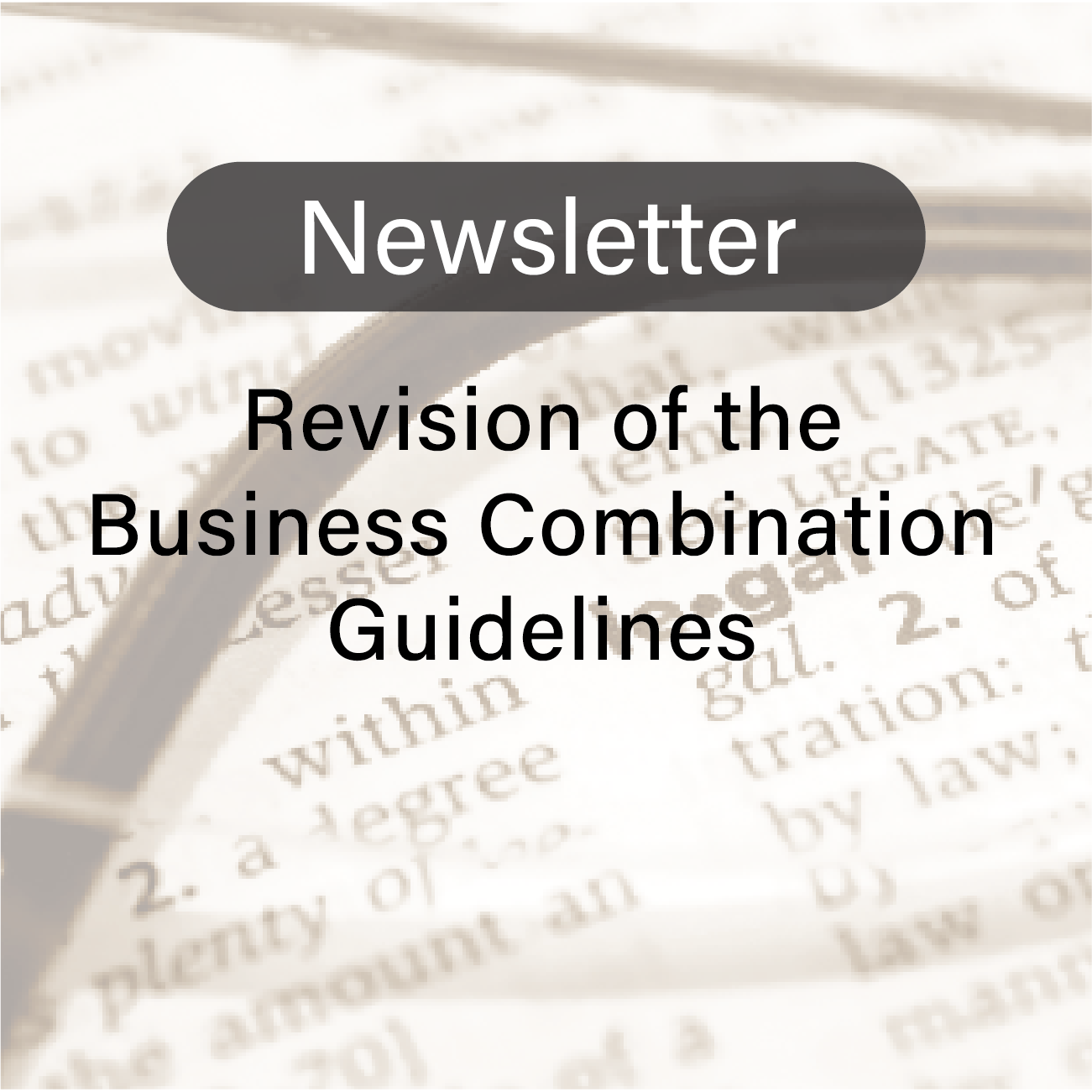 “Revision of the Business Combination Guidelines”: Competition Law Team