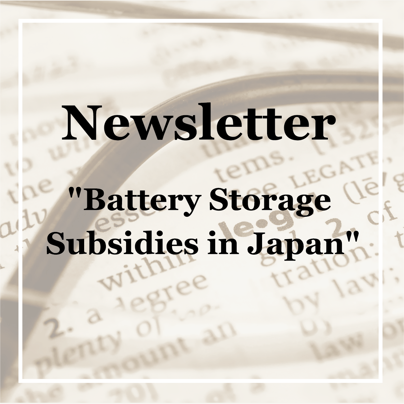 "Battery Storage Subsidies in Japan"