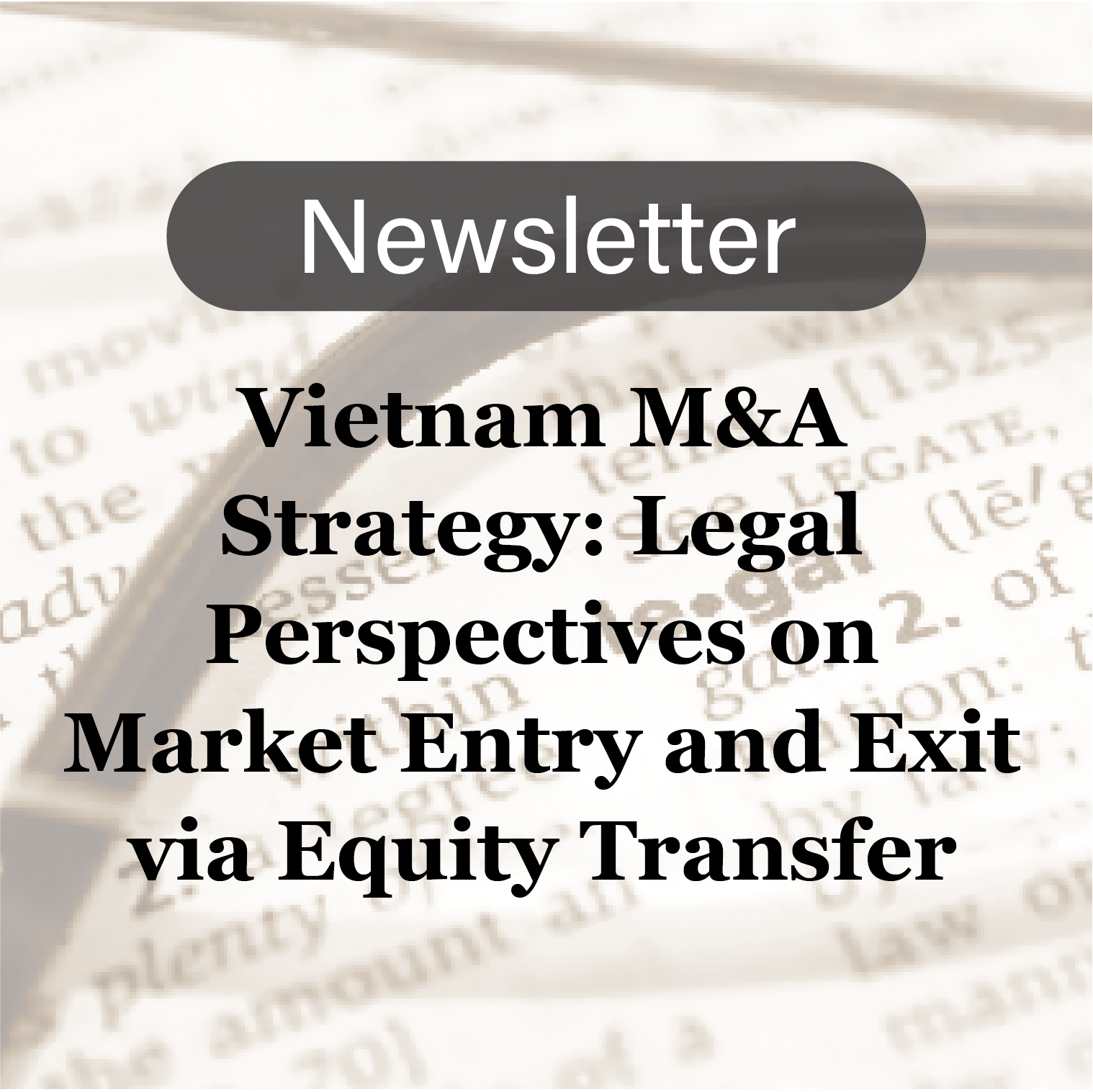 “Vietnam M&A Strategy: Legal Perspectives on Market Entry and Exit via Equity Transfer”: Vietnam Team