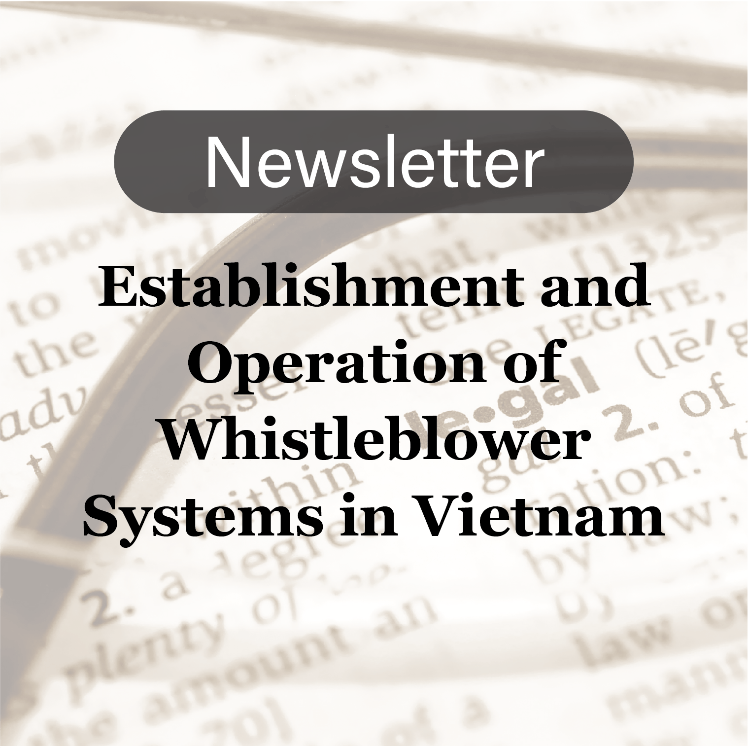 “Establishment and Operation of Whistleblower Systems in Vietnam”: Vietnam Team